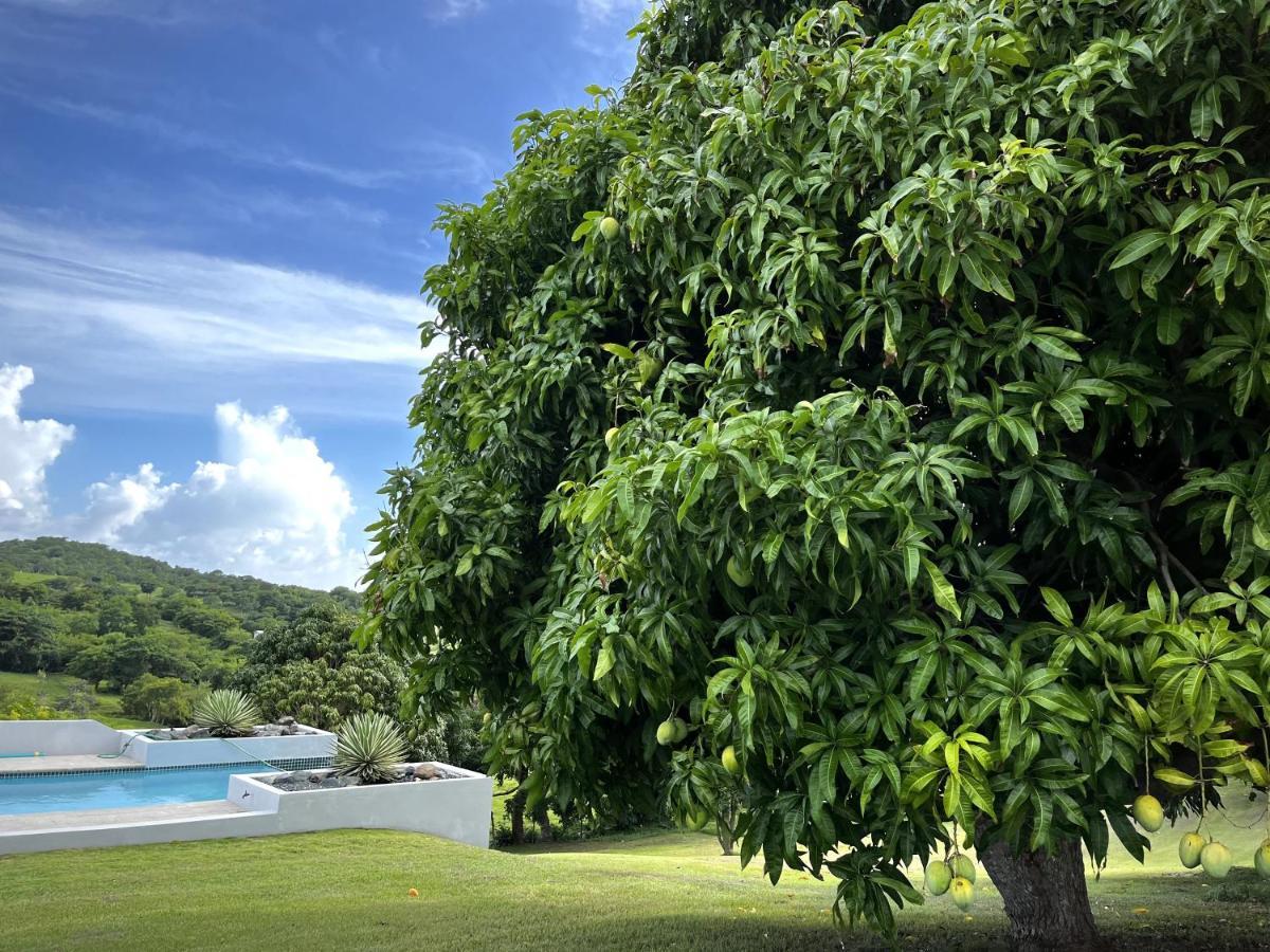 Hotel Lejos Eco Retreat à Vieques Extérieur photo